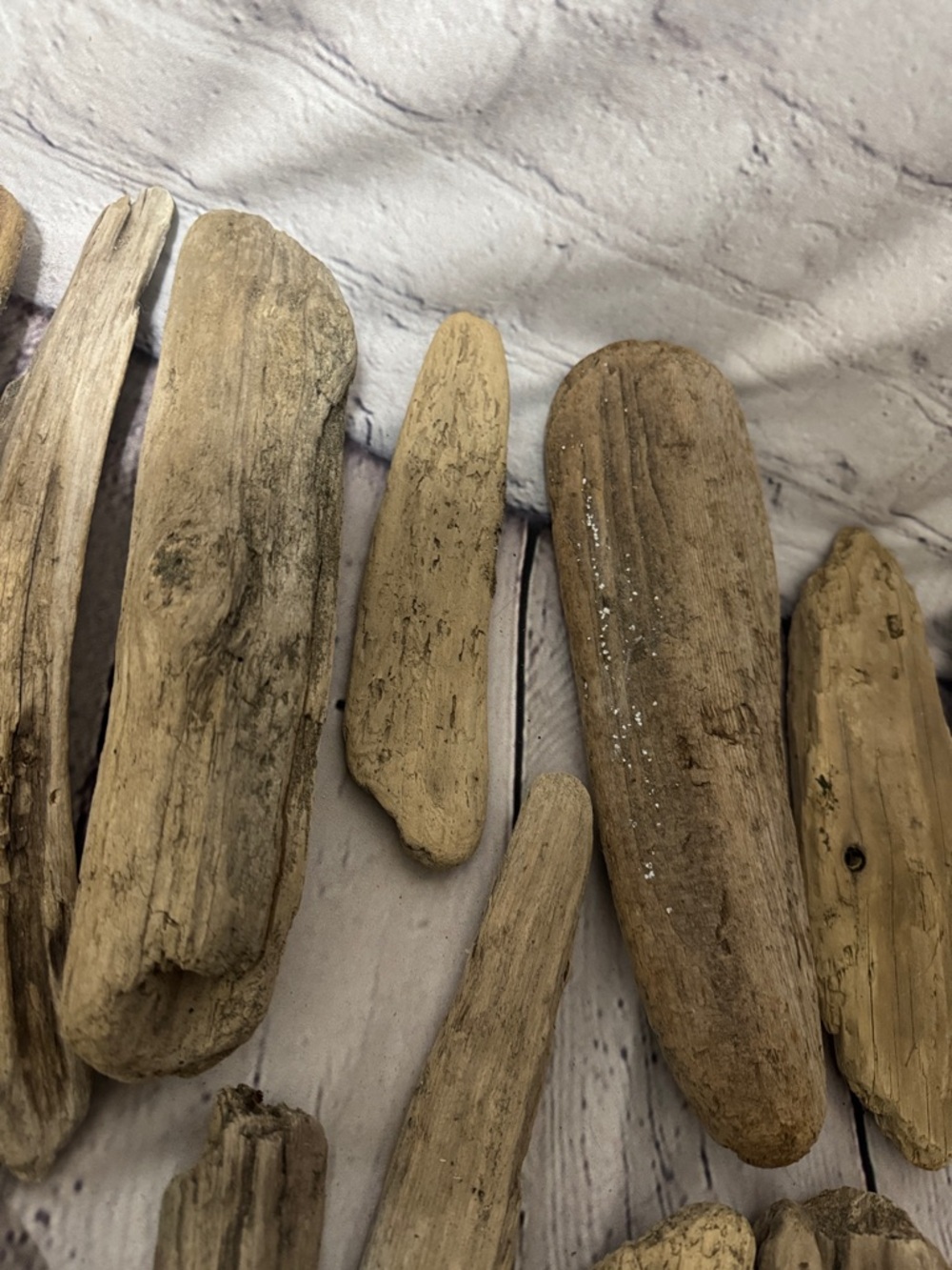 20 pieces PNW Pacific Ocean Grays Harbor Natural Driftwood Home Accent Bundle - Picture 16 of 17